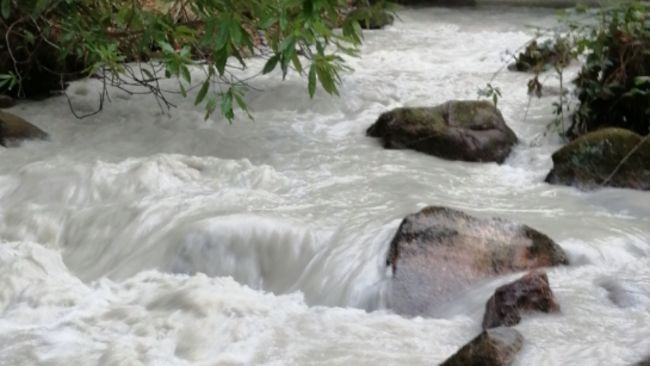 The rivers Yealm and Piall turned white because of pollution
