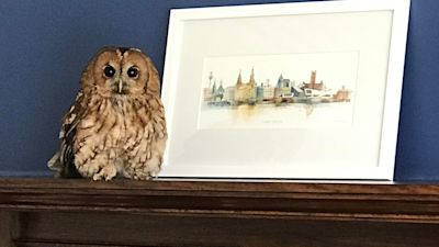 An owl sits on top of a fireplace at house in Southport