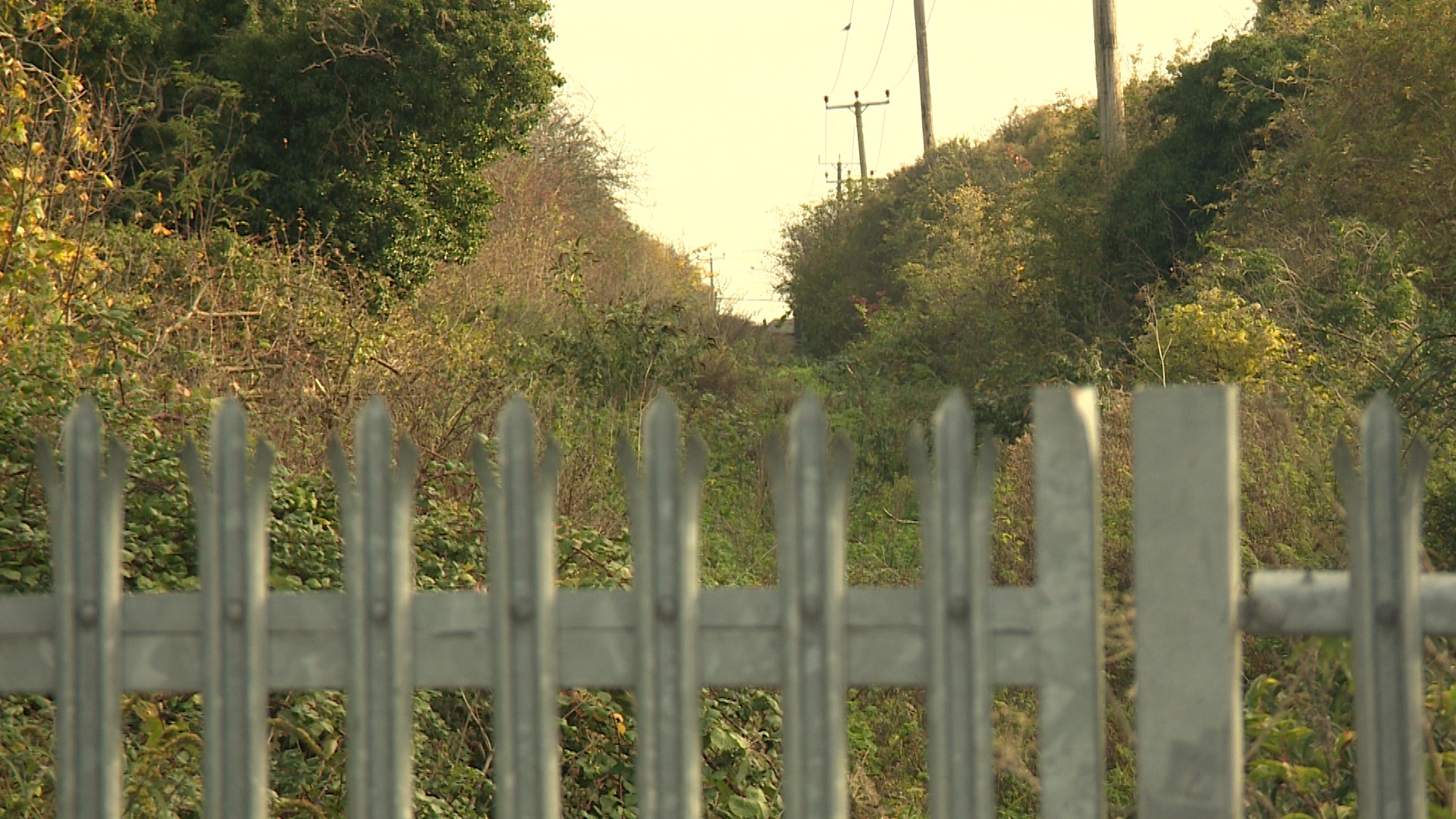 Plans To Turn Former Sheppey Light Railway Into Greenway For Cyclists   SHEPPEY RAIL.00 00 00 00.Still002 