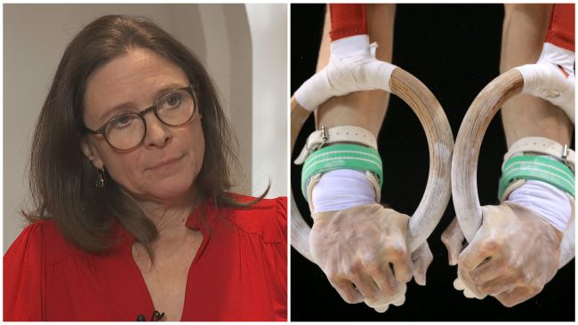 Split image. Left image: Anne Whyte KC. Right image: A gymnast holding position on rings.