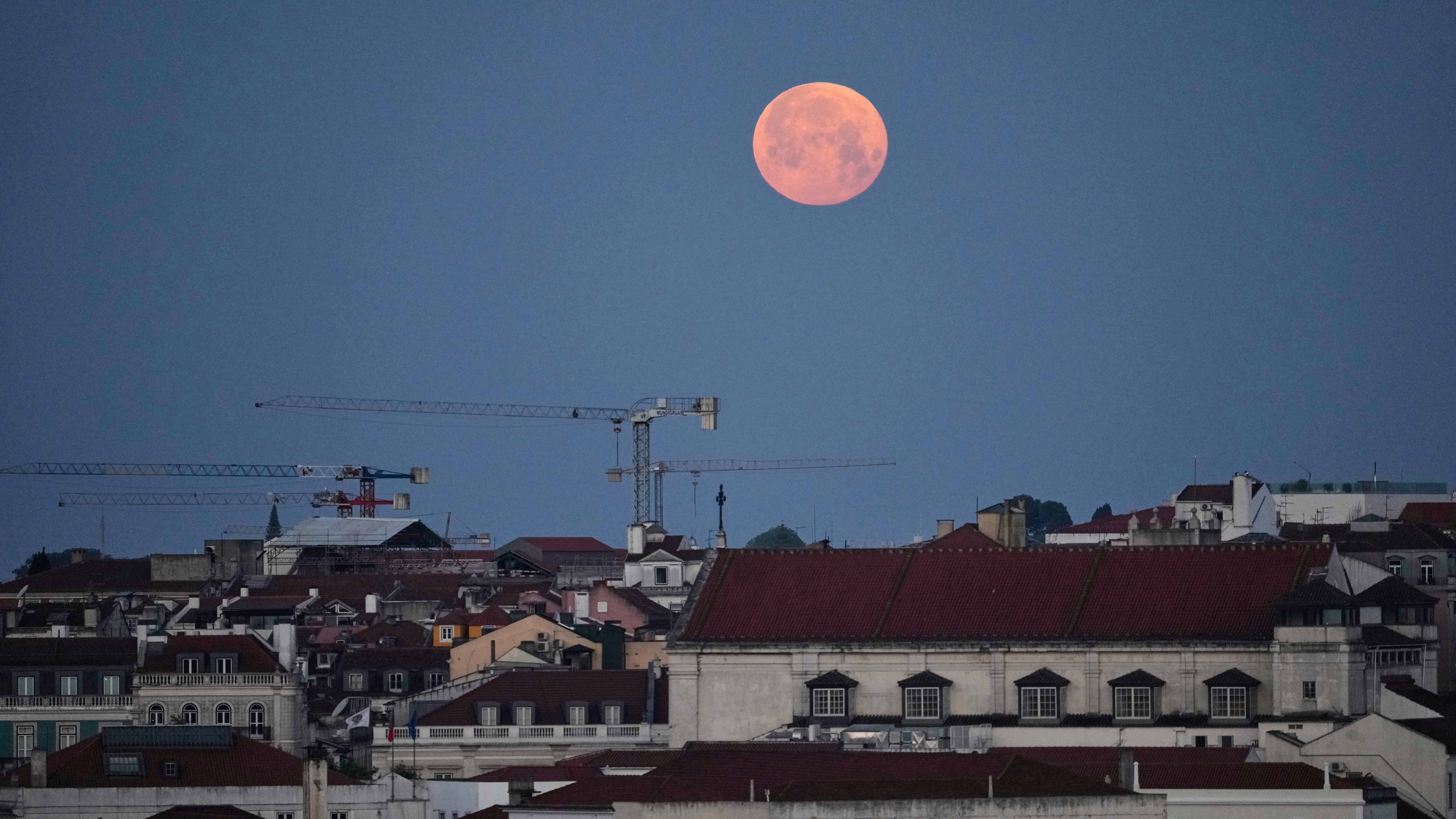 Flower Moon : ce qu'il faut savoir — image 1
