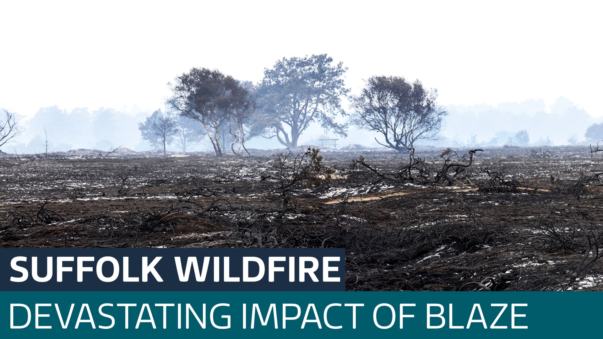 Large Suffolk wildfire leaves nature reserve 'unrecognisable'