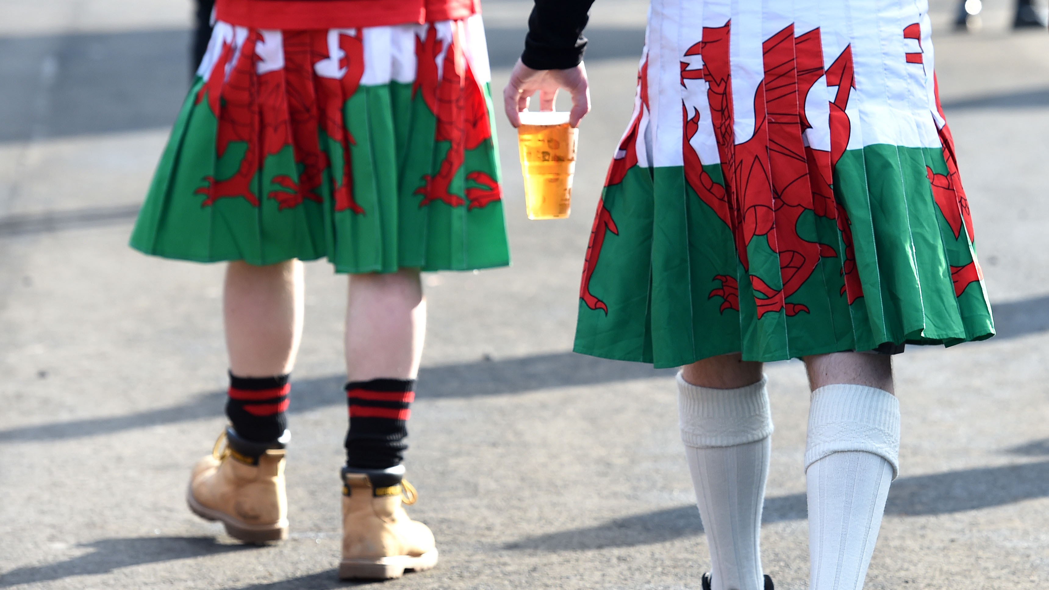 Drunk rugby fan 'vomited all over six-year-old boy' at Wales v