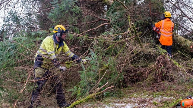 Storm Arwen: Major incident declared in Northumberland | ITV News Tyne Tees