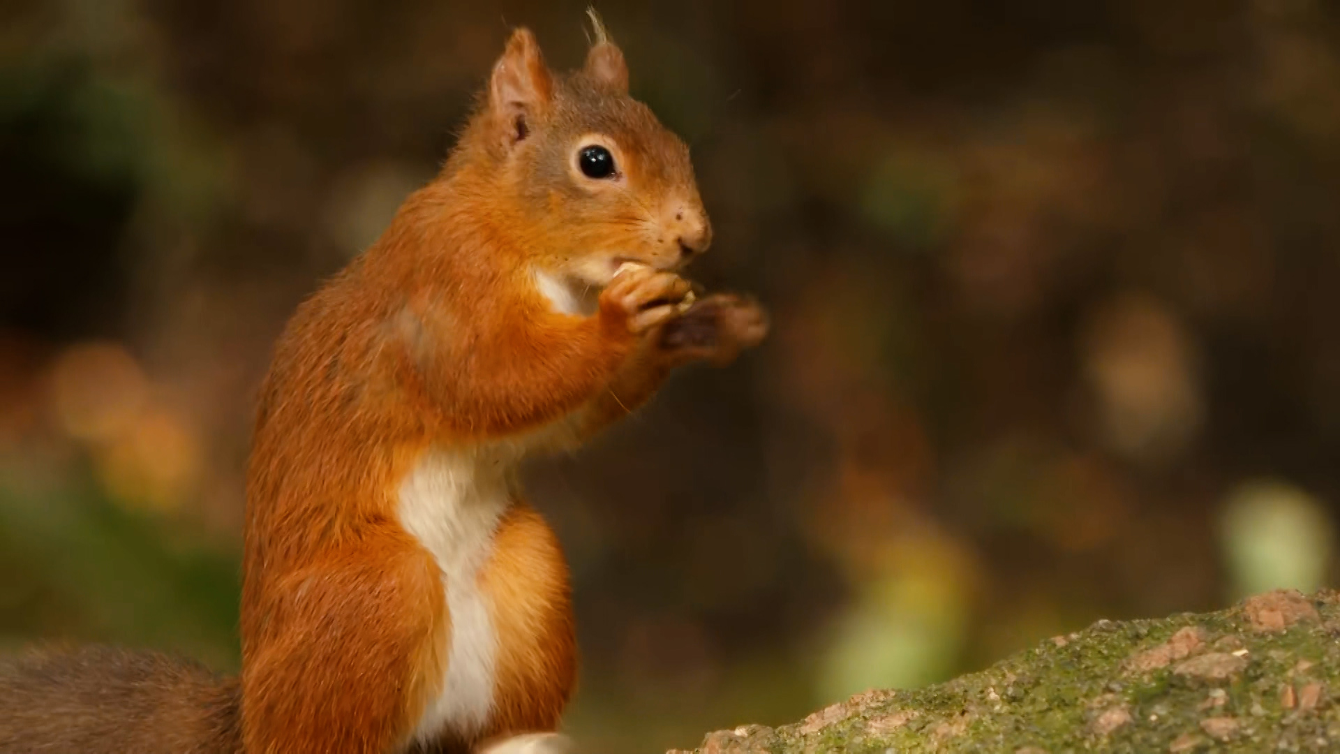 Catch up on Border Life - Latest From ITV News