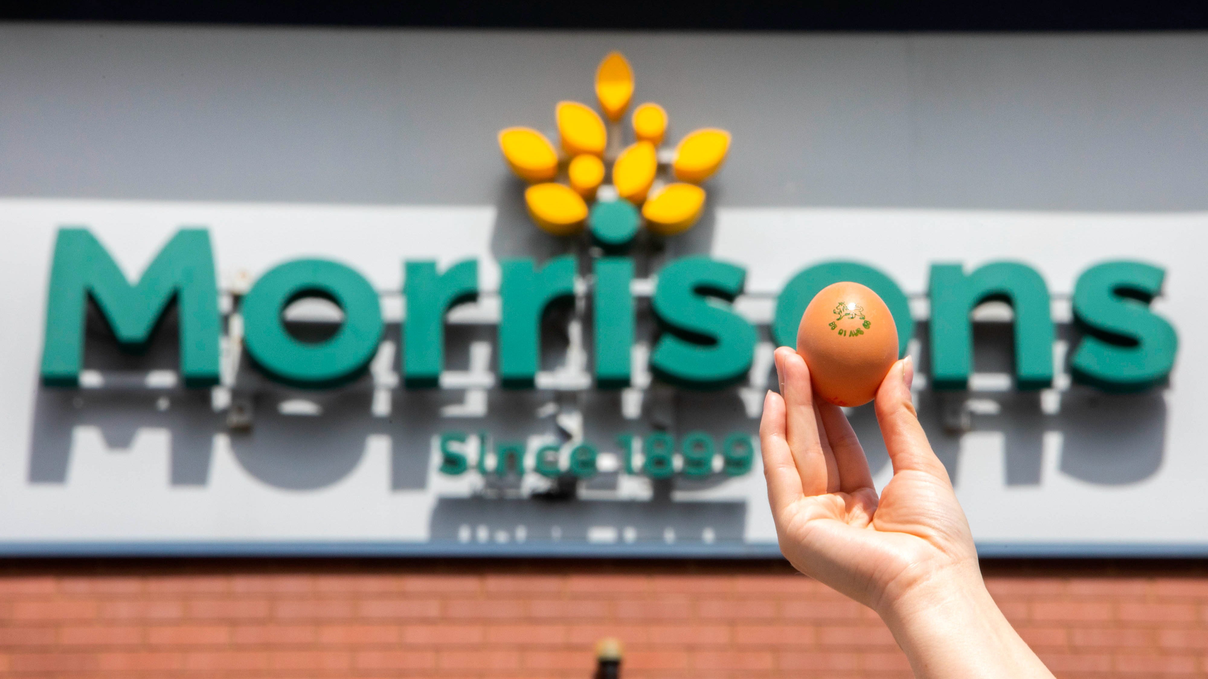 Morrisons launches ‘carbonneutral’ eggs from hens fed insects instead