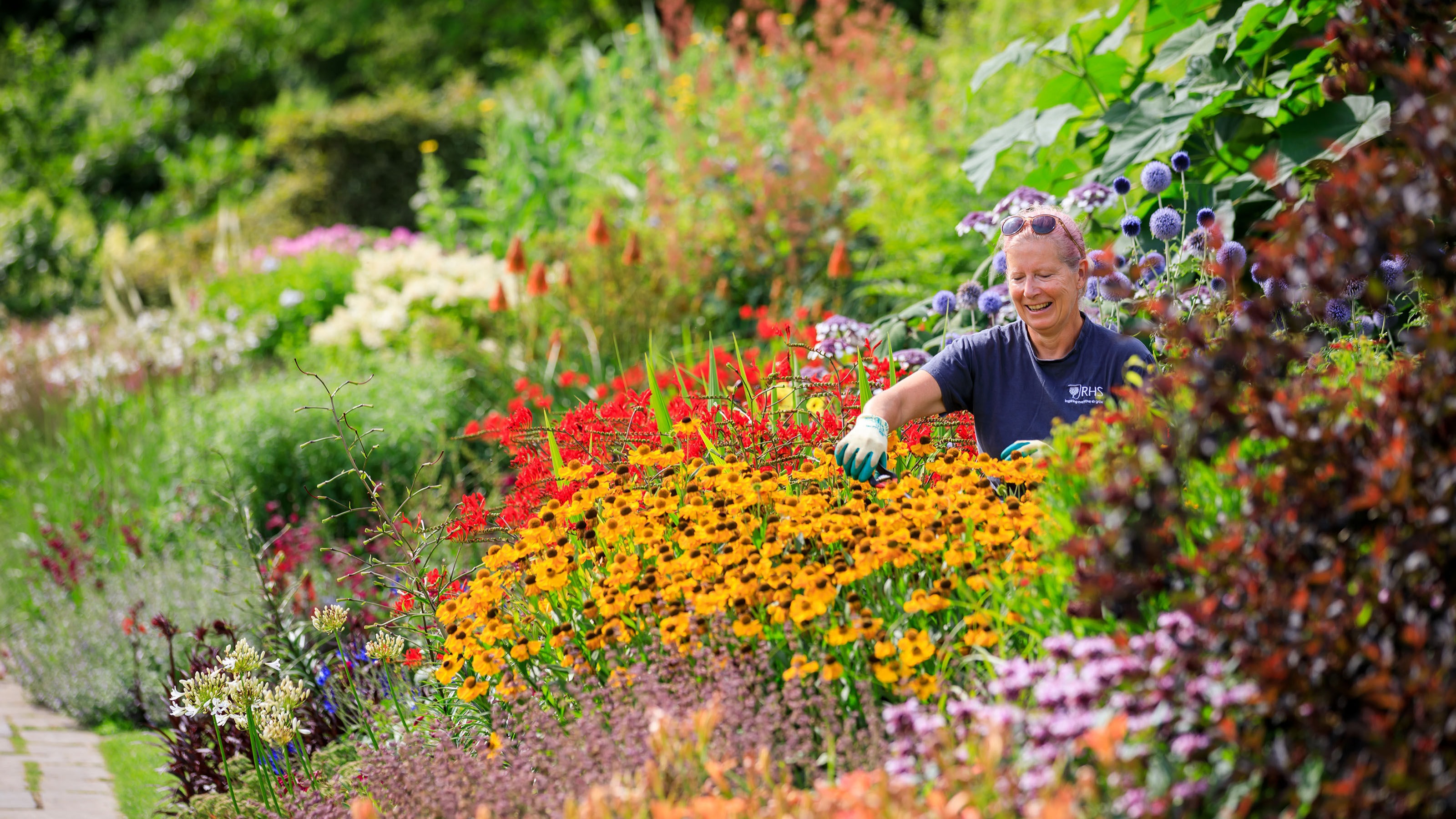 Britain set to bloom as this year's weather creates 'perfect ...