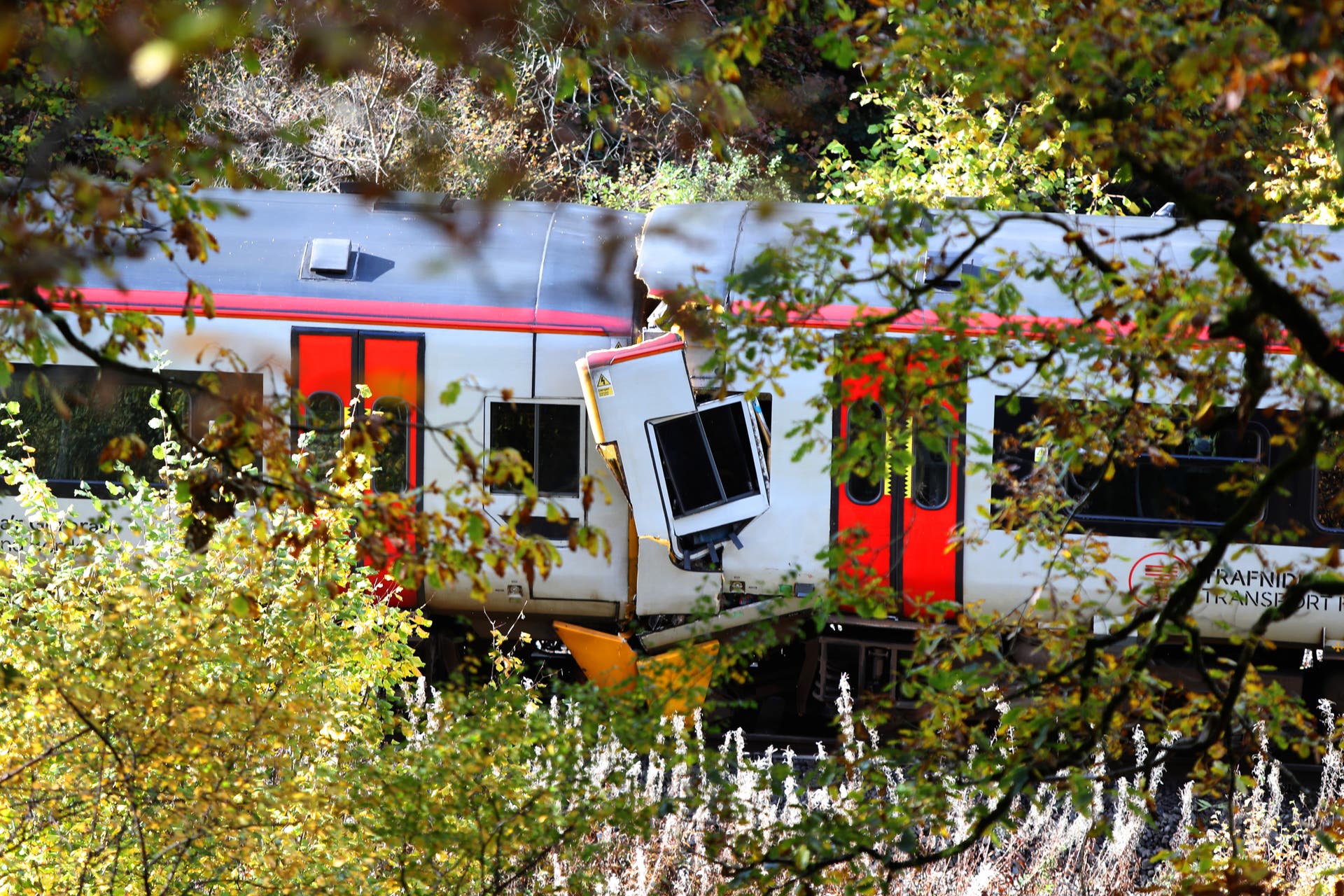 Train crash could have been avoided if driver had used emergency system - report