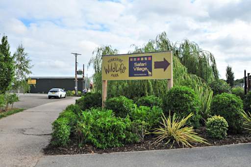 Man sustained ‘serious injuries’ in tiger enclosure at Yorkshire Wildlife Park