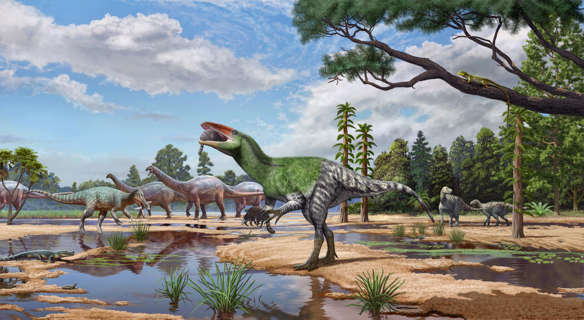 New Dinosaur Species Invictibellatrix Discovered From 100-Year-Old Isle of Wight Fossil