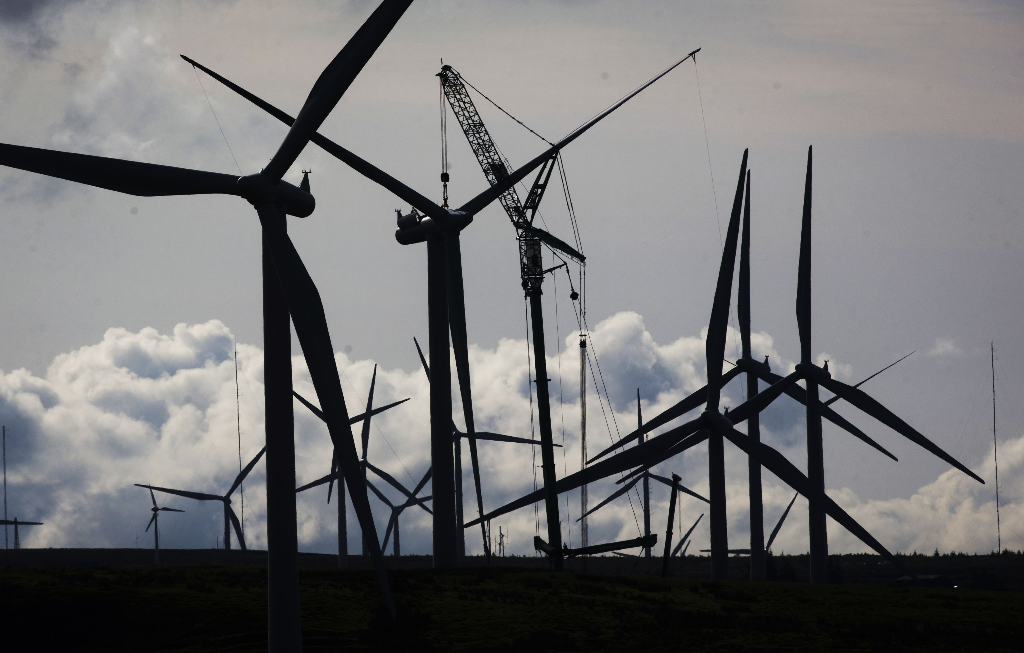 Scottish Power and Shell make bid for North Sea floating windfarm project - Vimarsana News