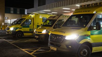 Patients ‘put at risk’ by ambulance handover delays