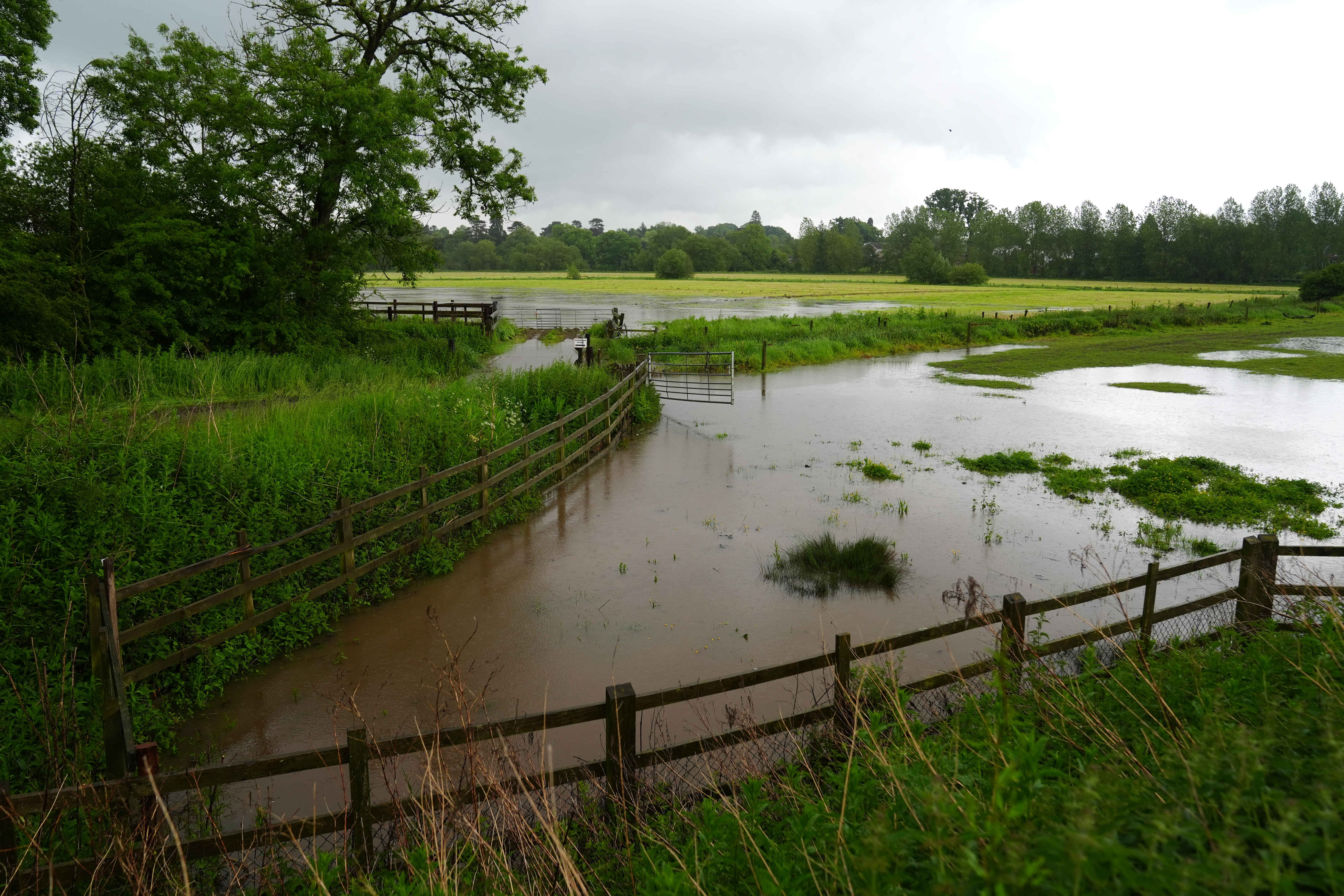 Thunderstorms and heavy rain set to hit parts of the UK | ITV News