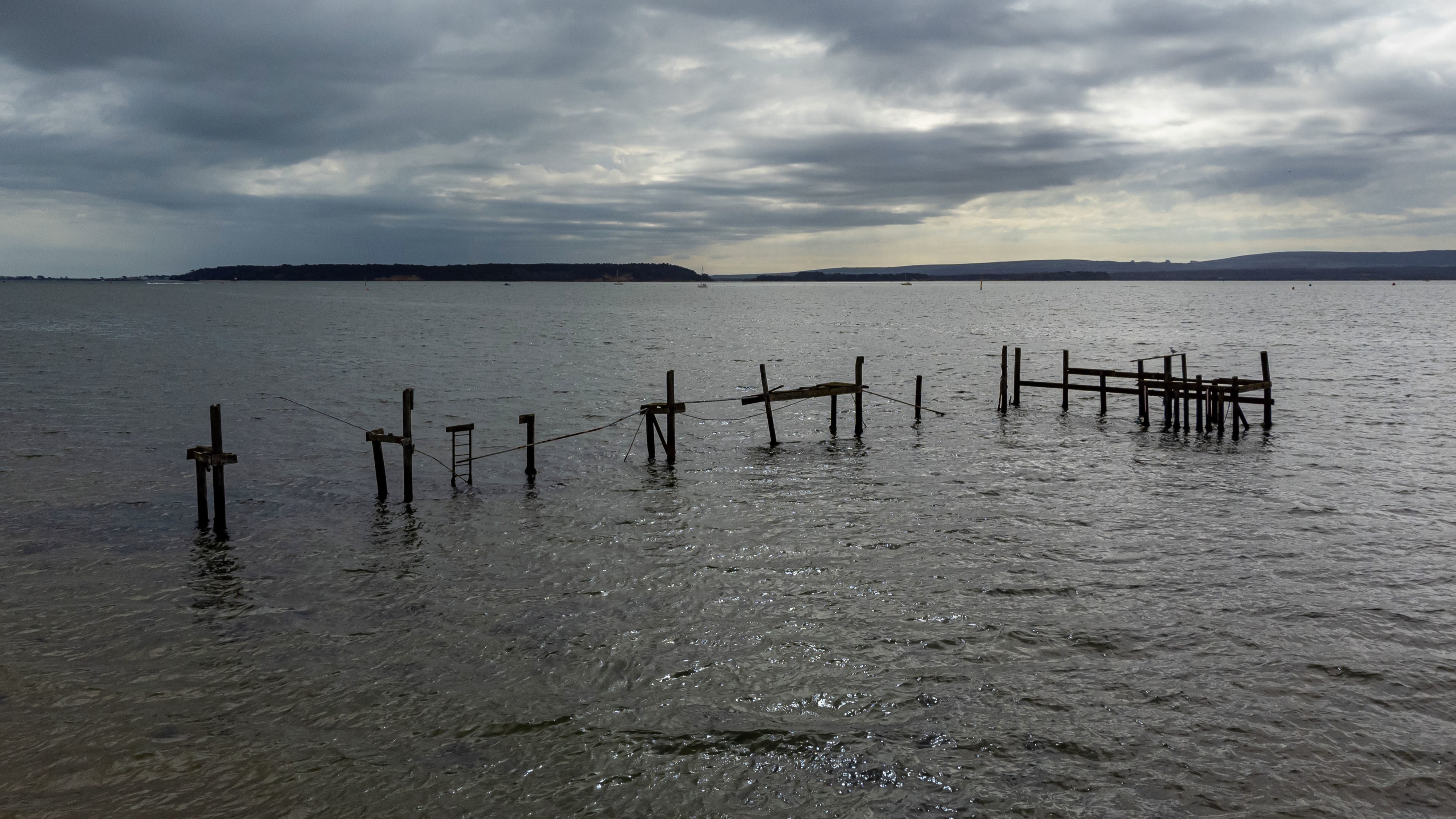 ‘Oiled birds’ spotted around Poole Harbour, says RSPB | ITV News Meridian