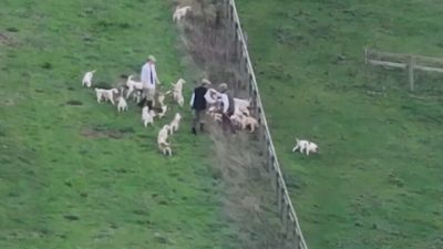Kennedy could be seen shaking hands after the kill.