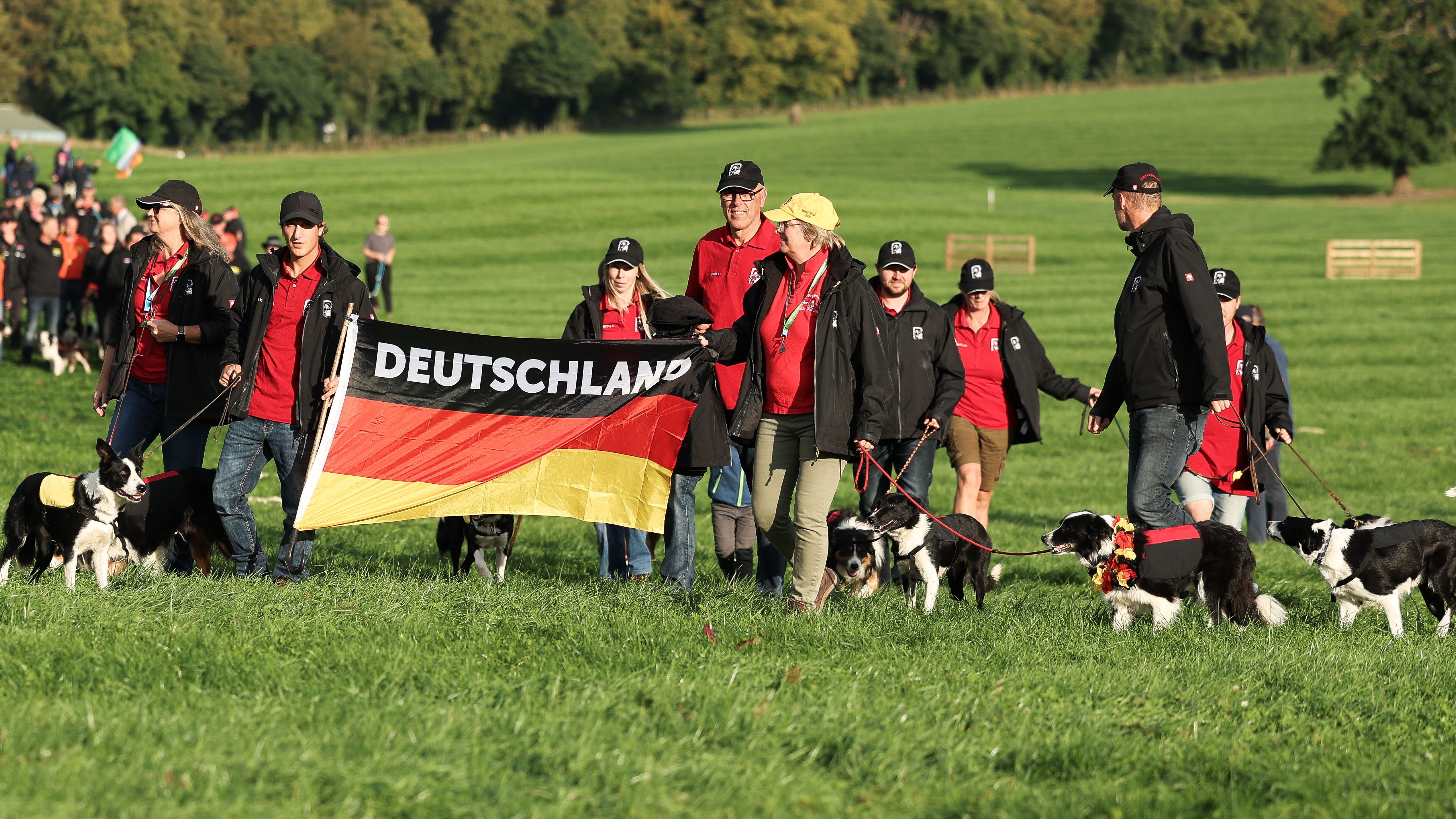 World Sheepdog Trials 240 dogs and handlers from 30 countries in