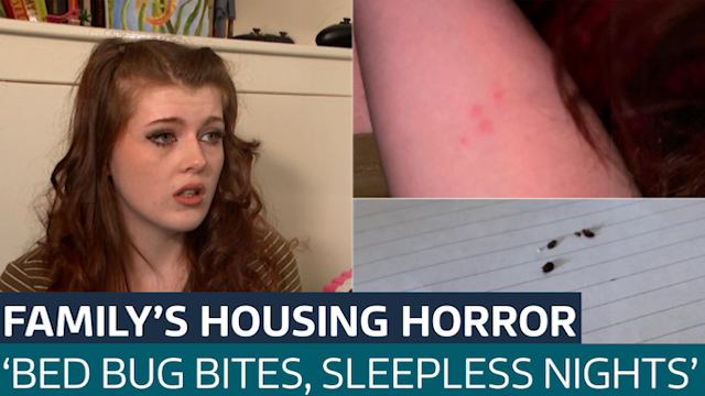 'Bed bug bites and sleepless nights': Family's horror as home infested ...