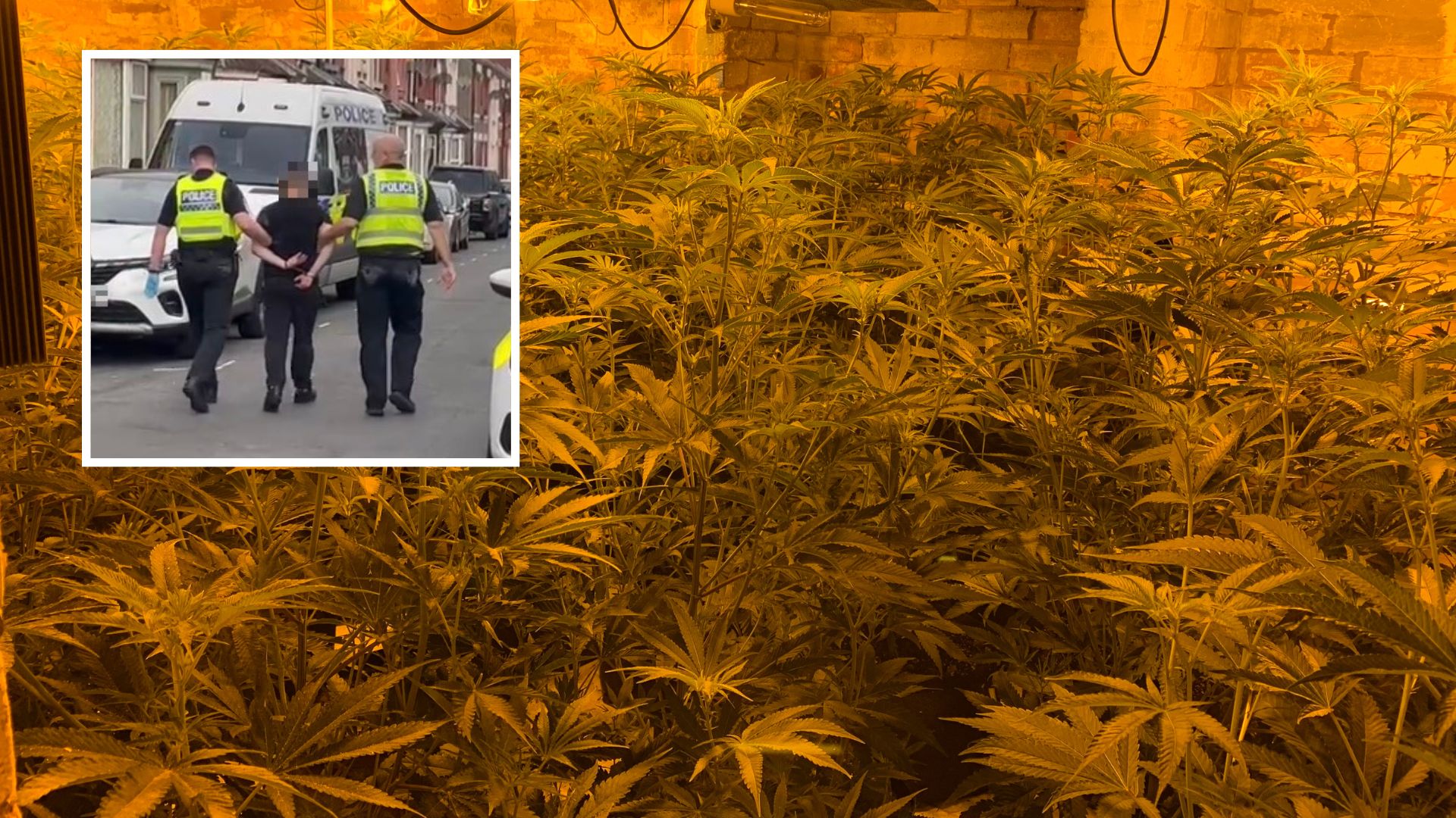 Four Arrests After Raids On Doncaster Cannabis Farms | ITV News Calendar