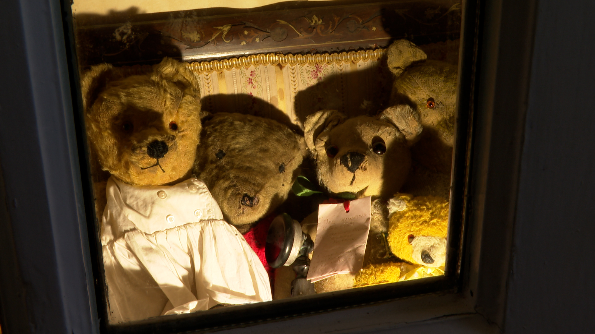 The teddy bear museum in Cornwall set to close just one year after ...