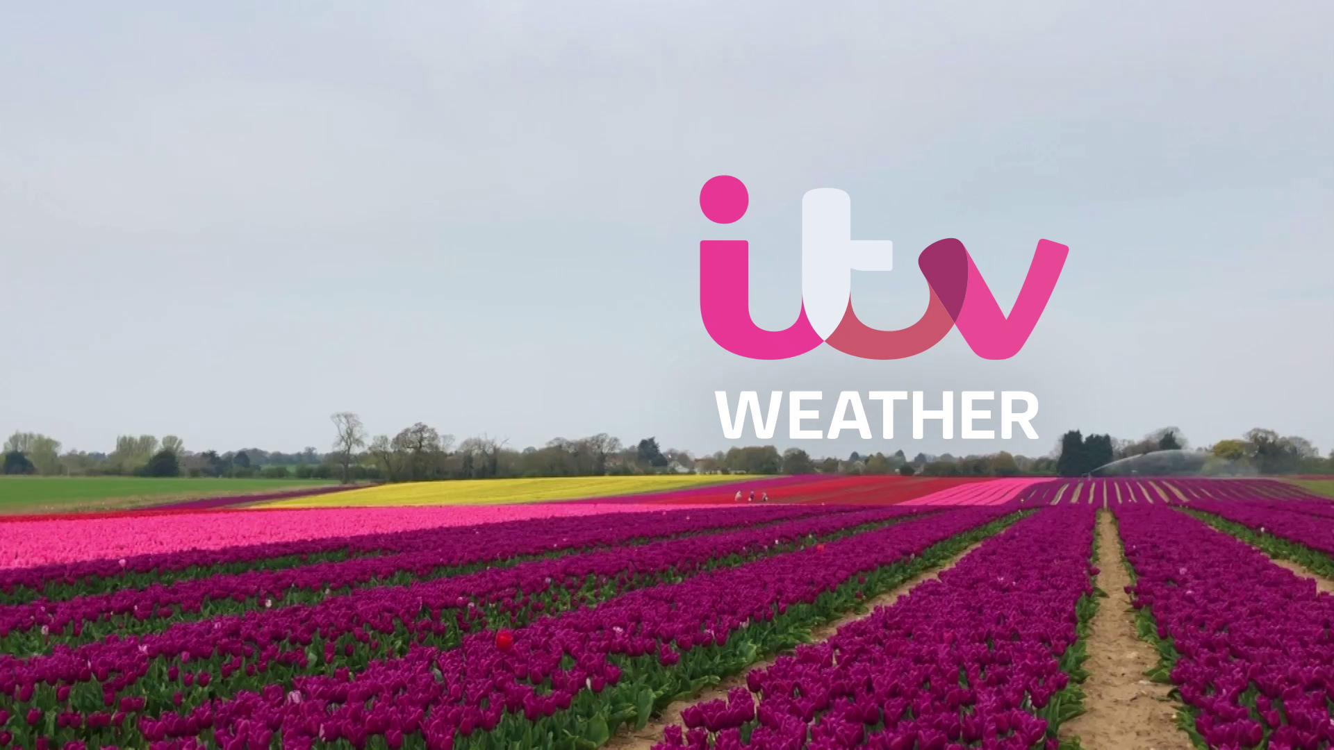 ITV News West Country Latest news for Bristol and the West Country