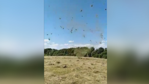 Rare 'mini-tornado' spotted by dog walker in Swansea | ITV News - Vimarsana News