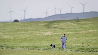 A man walking his dog near Whitehaven in Cumbria. Approved plans for a new coal mine near the Cumbrian town will produce more emissions than any of the others currently open in the UK, a climate group has warned. 