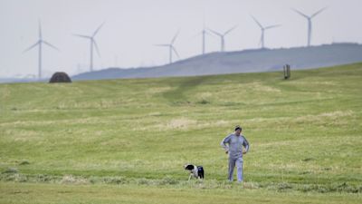 A man walking his dog near Whitehaven in Cumbria. Approved plans for a new coal mine near the Cumbrian town will produce more emissions than any of the others currently open in the UK, a climate group has warned.