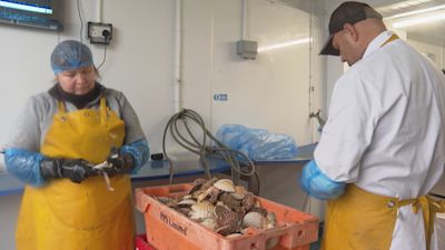 Brixham fish merchant says spiralling export charges could put him out ...