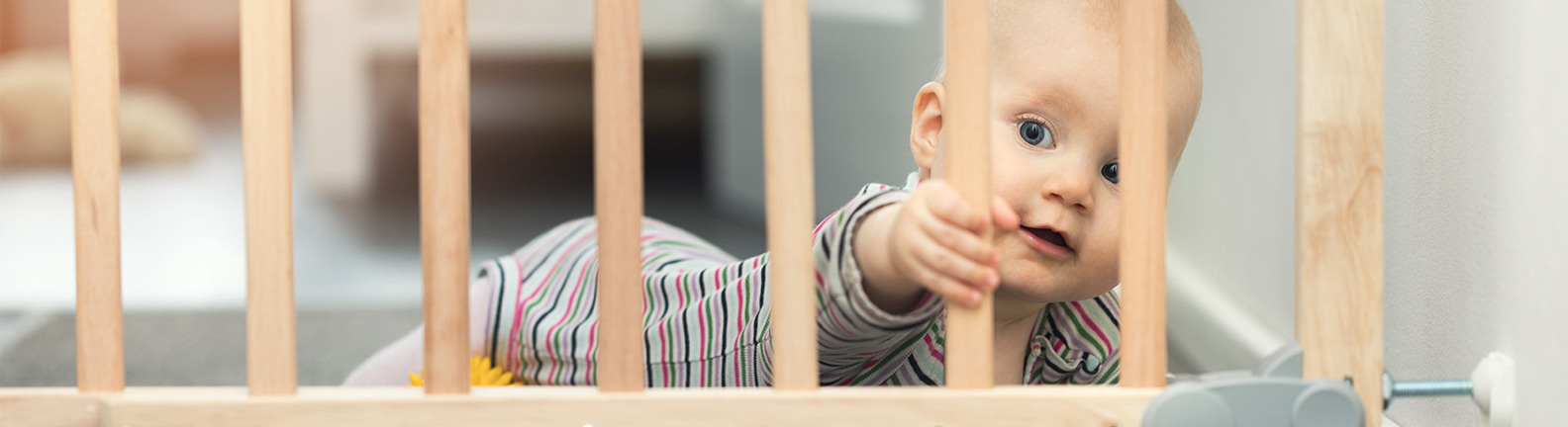 Baby behind safety gate 