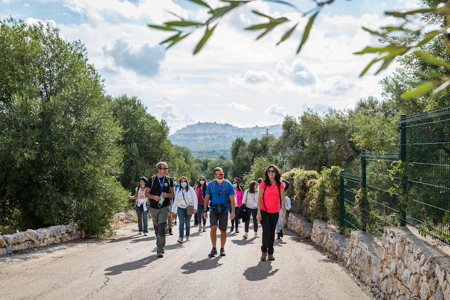 A guided tour among the olive trees of the Apulian countryside