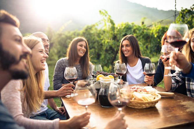 A group of friends laugh and joke while sipping wine in a vineyard