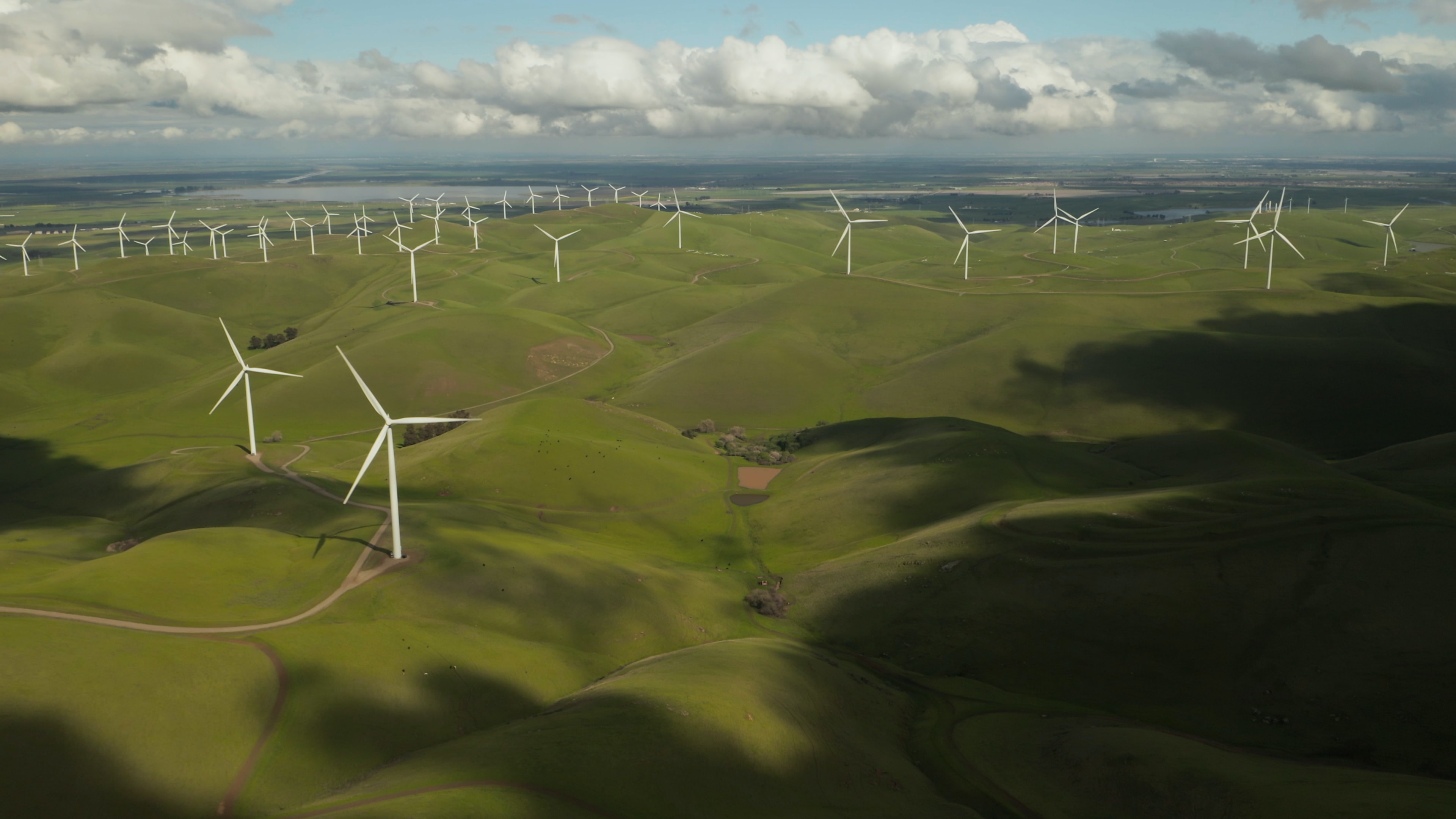 A group of wind turbines