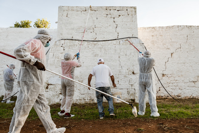 A group of volunteers cleans up a historic wall in the Apulian countryside