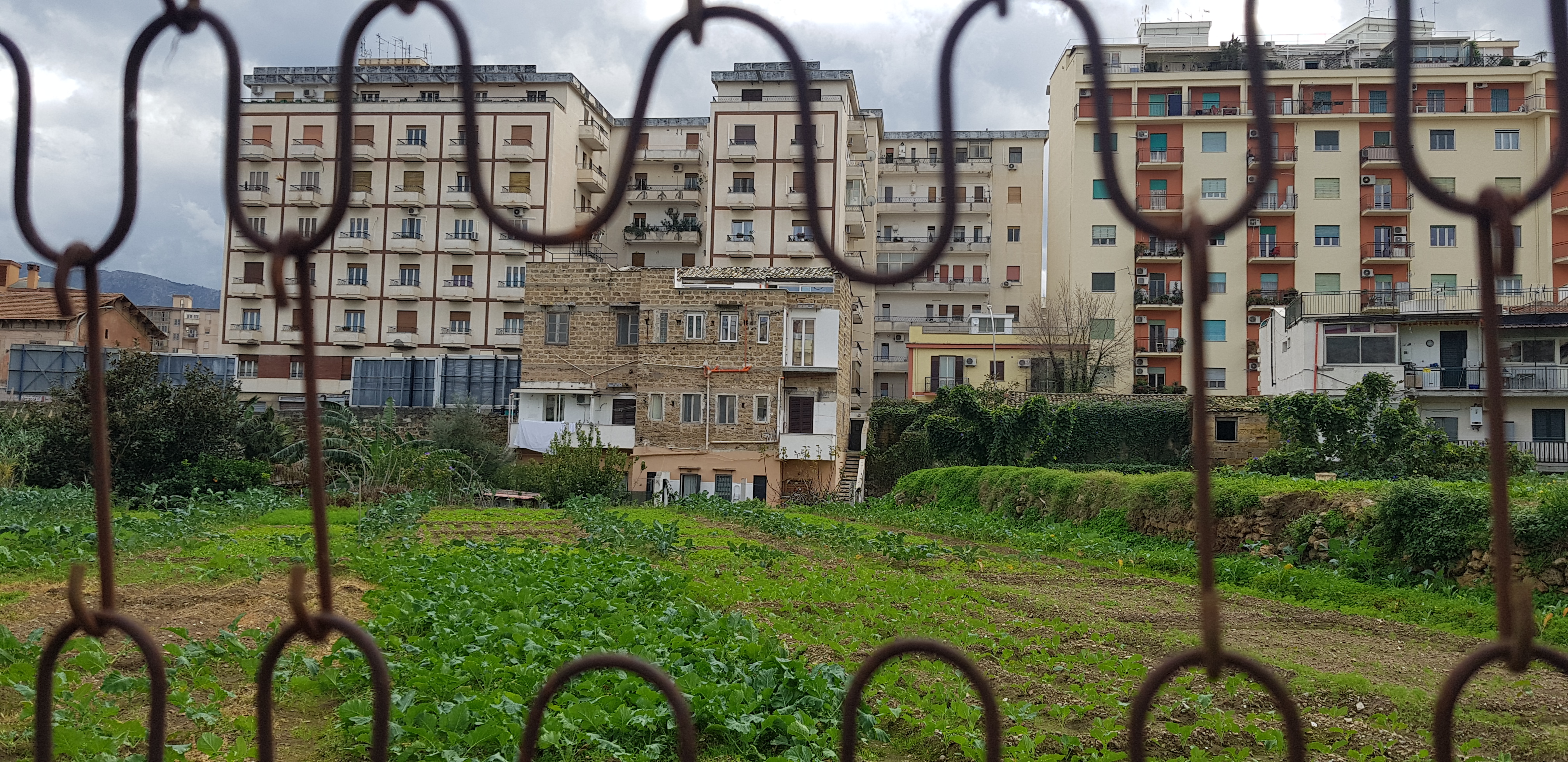 Some public houses in Danisinni