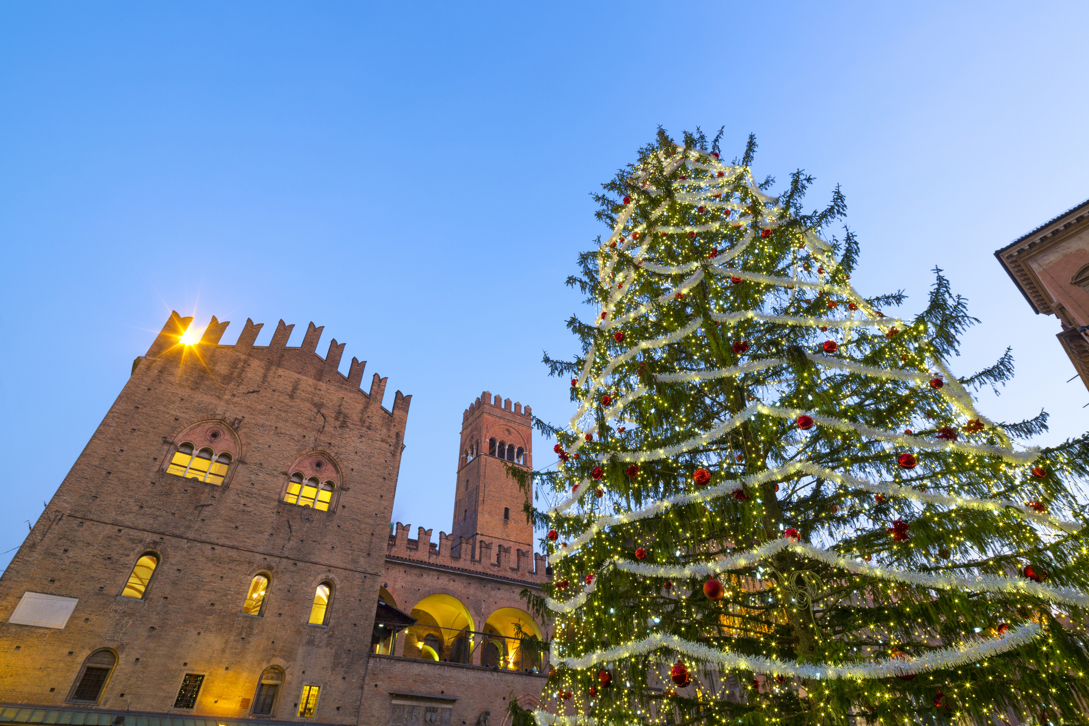 Christmas tree set up in Piazza Maggiore in Bologna