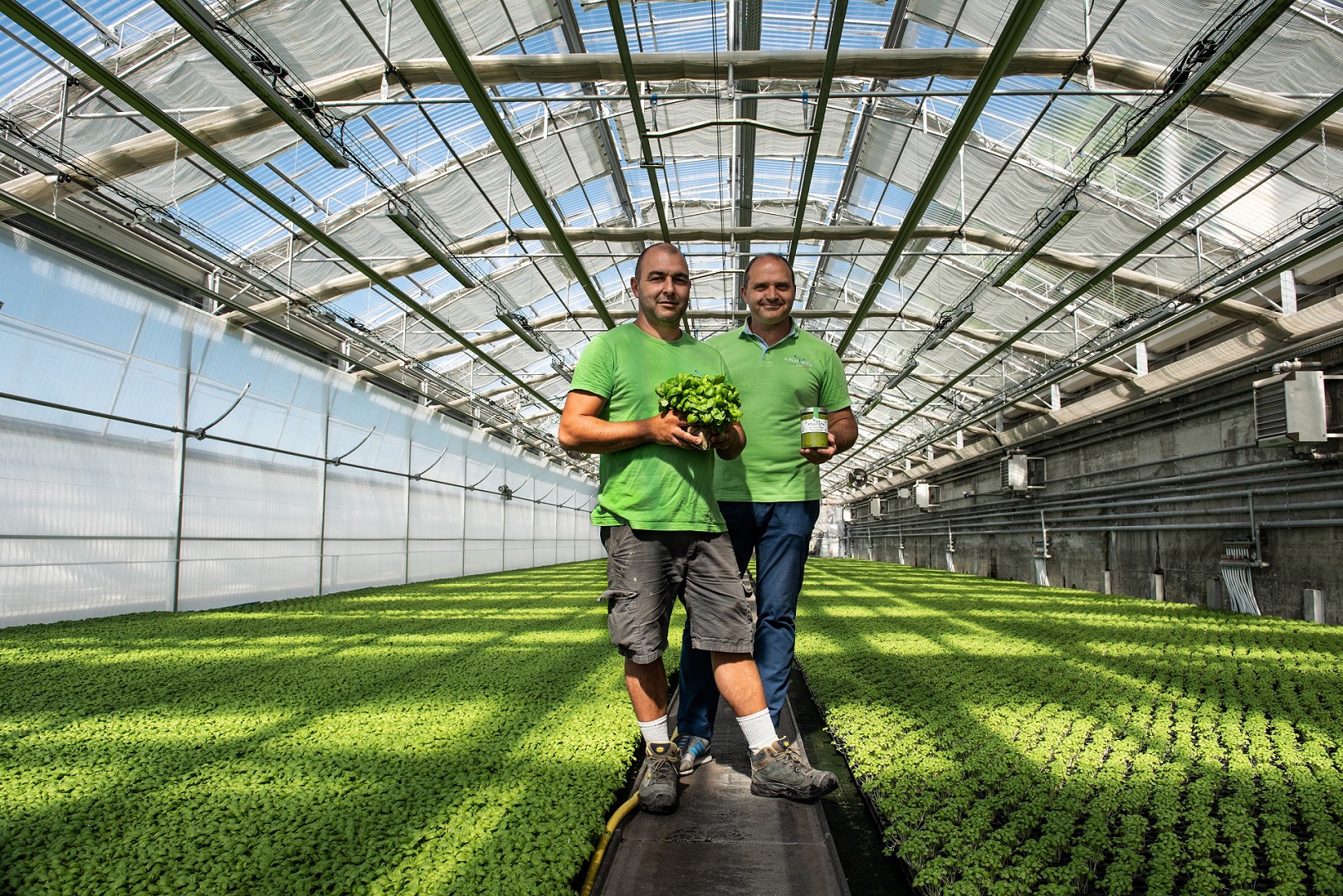 Due agricoltori in una serra dove viene coltivato il basilico di Pra'