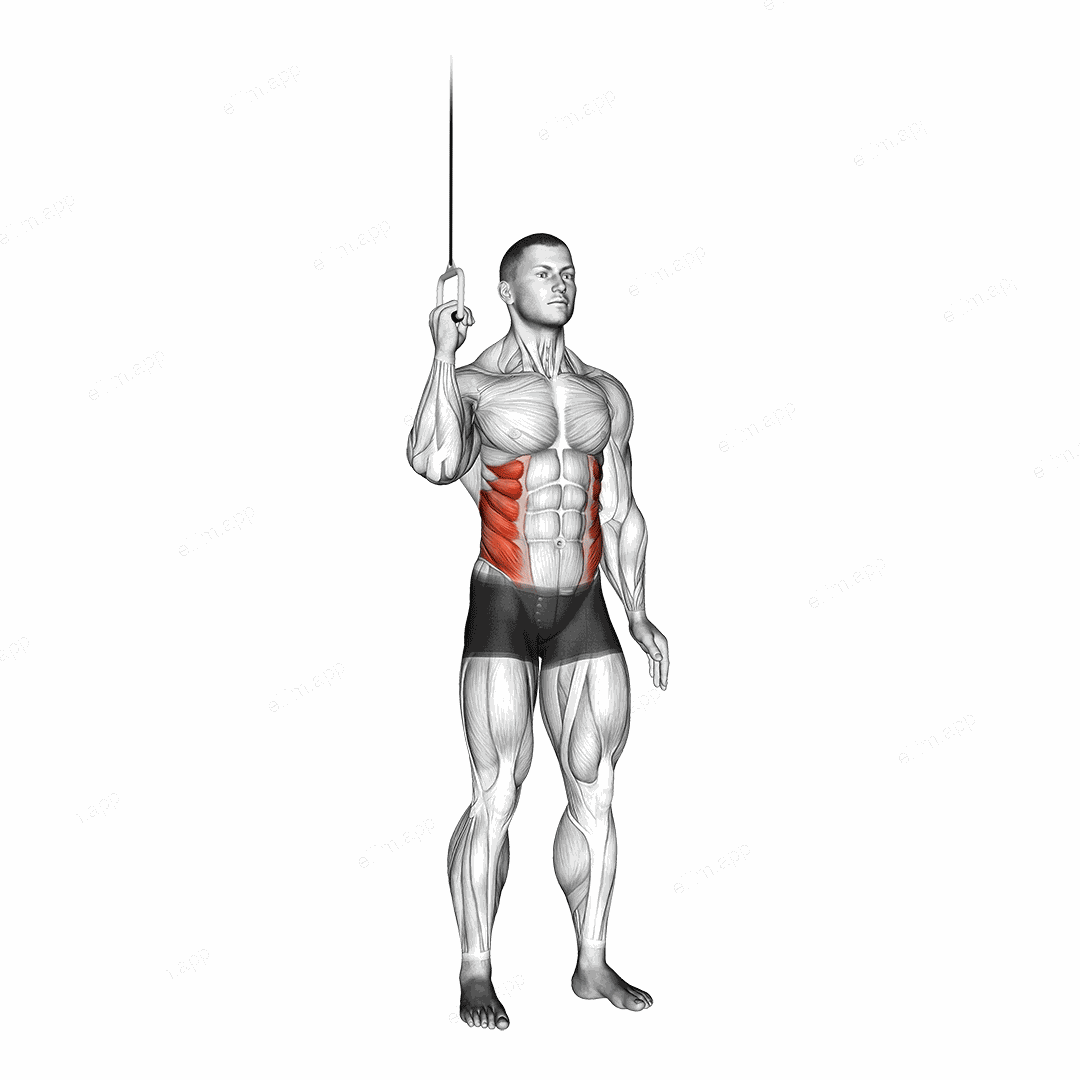 Cable Side Crunch exercise targeting Waist and Obliques