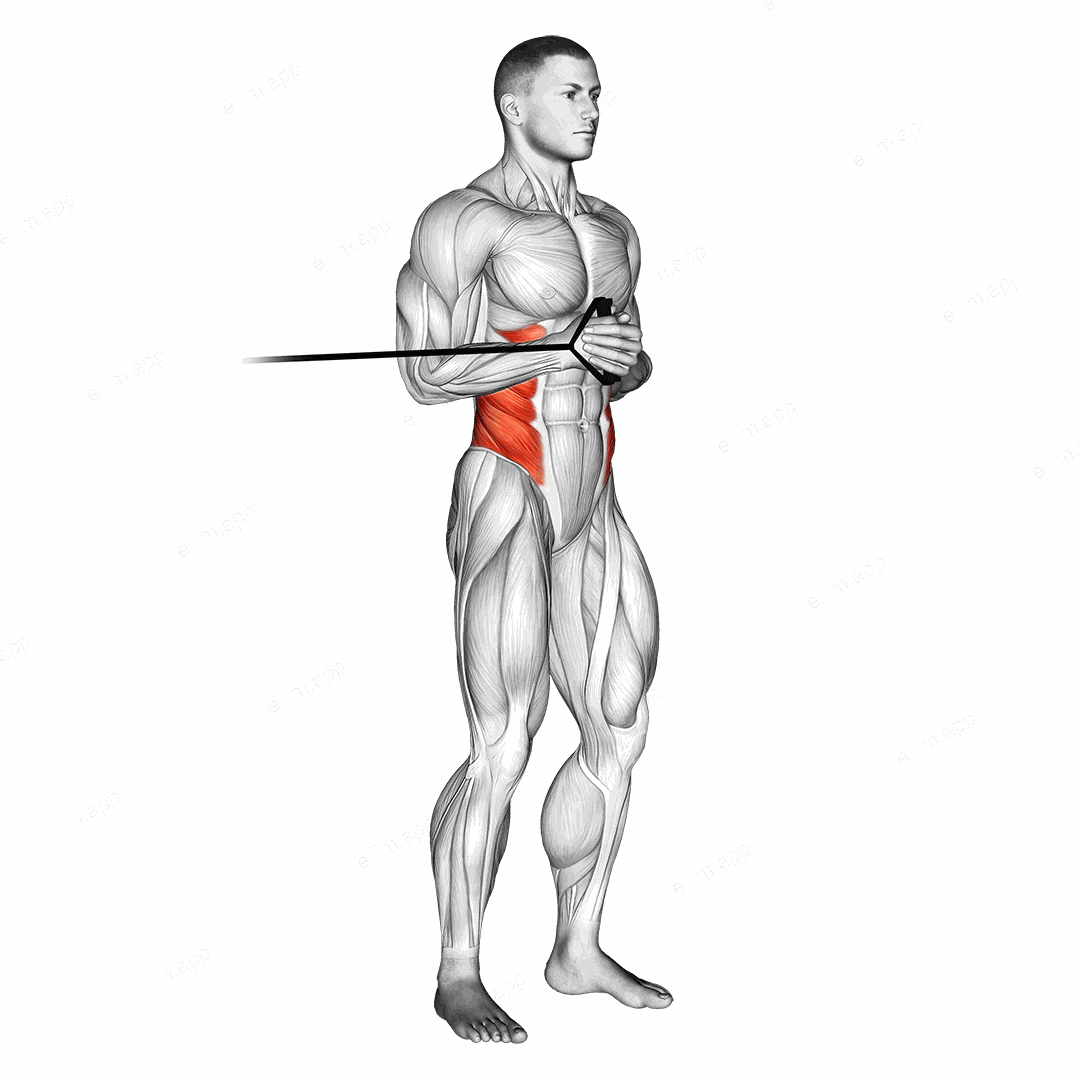 Band horizontal Pallof Press exercise targeting Waist and Obliques