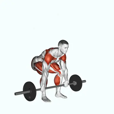 Barbell Split Clean exercise targeting Weightlifting and Biceps Brachii