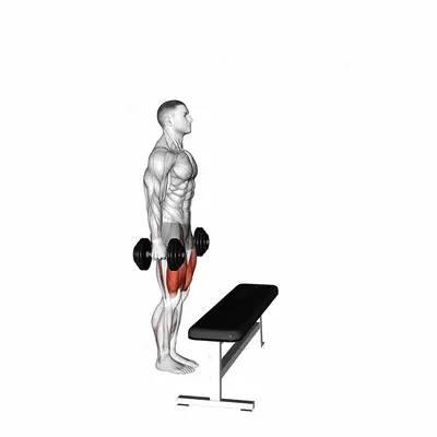 Dumbbell Step-up with Knee Raise exercise targeting Hips and Gluteus Maximus