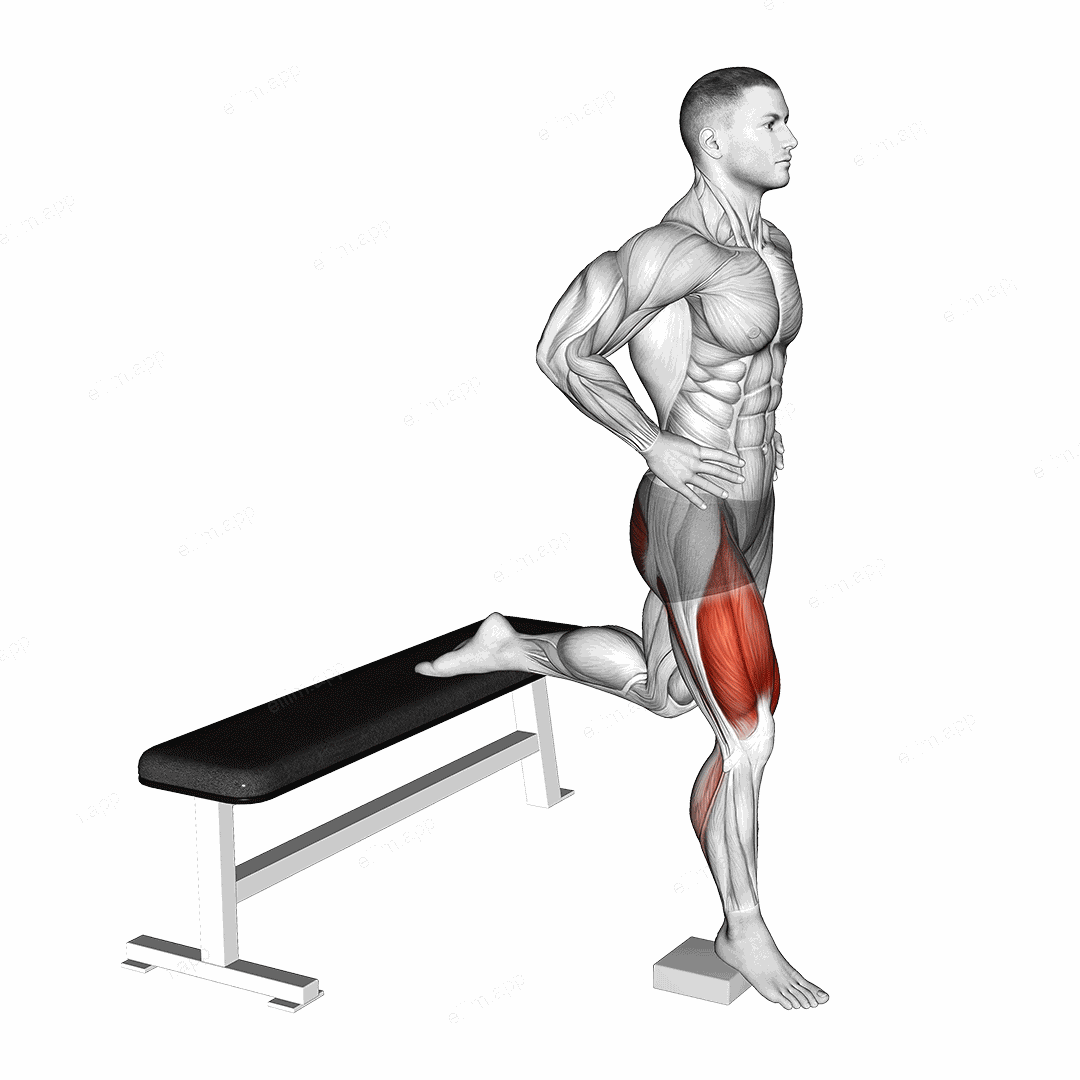 Bodyweight Heel Elevated Bulgarian Split Squat exercise targeting Thighs