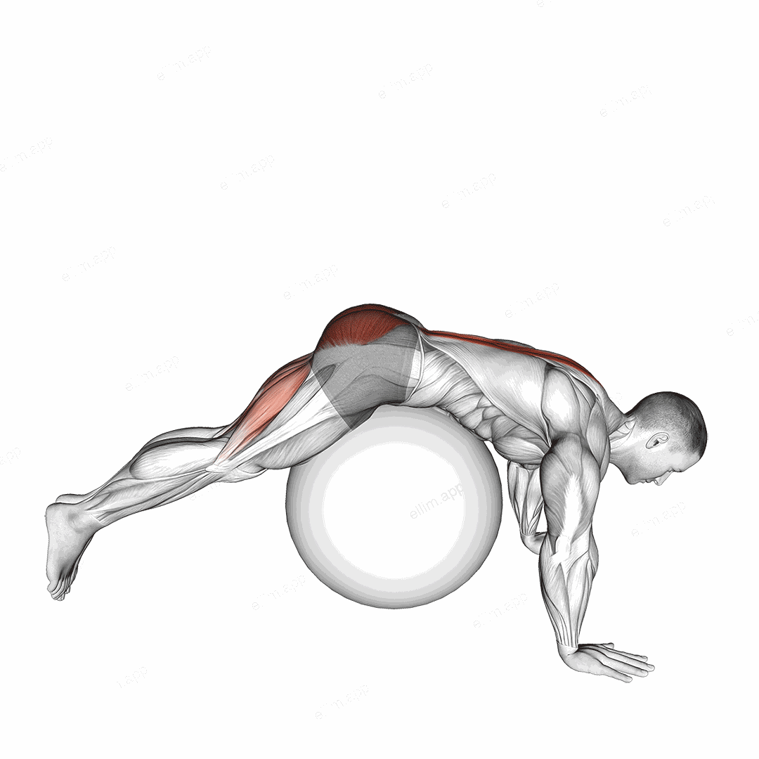 Reverse Hyperextension on Stability Ball exercise targeting Hips