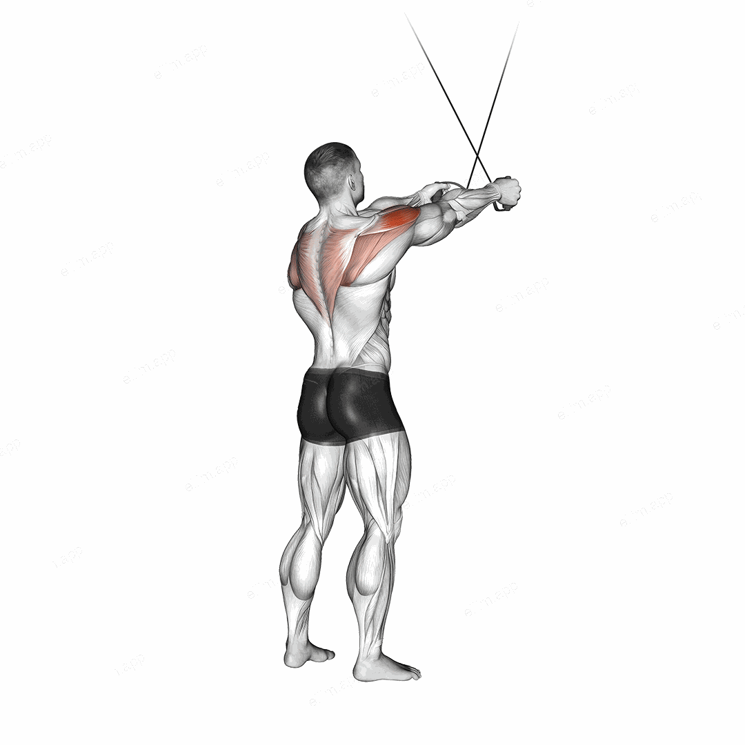 Cable Standing Cross over High Reverse Fly exercise targeting Back