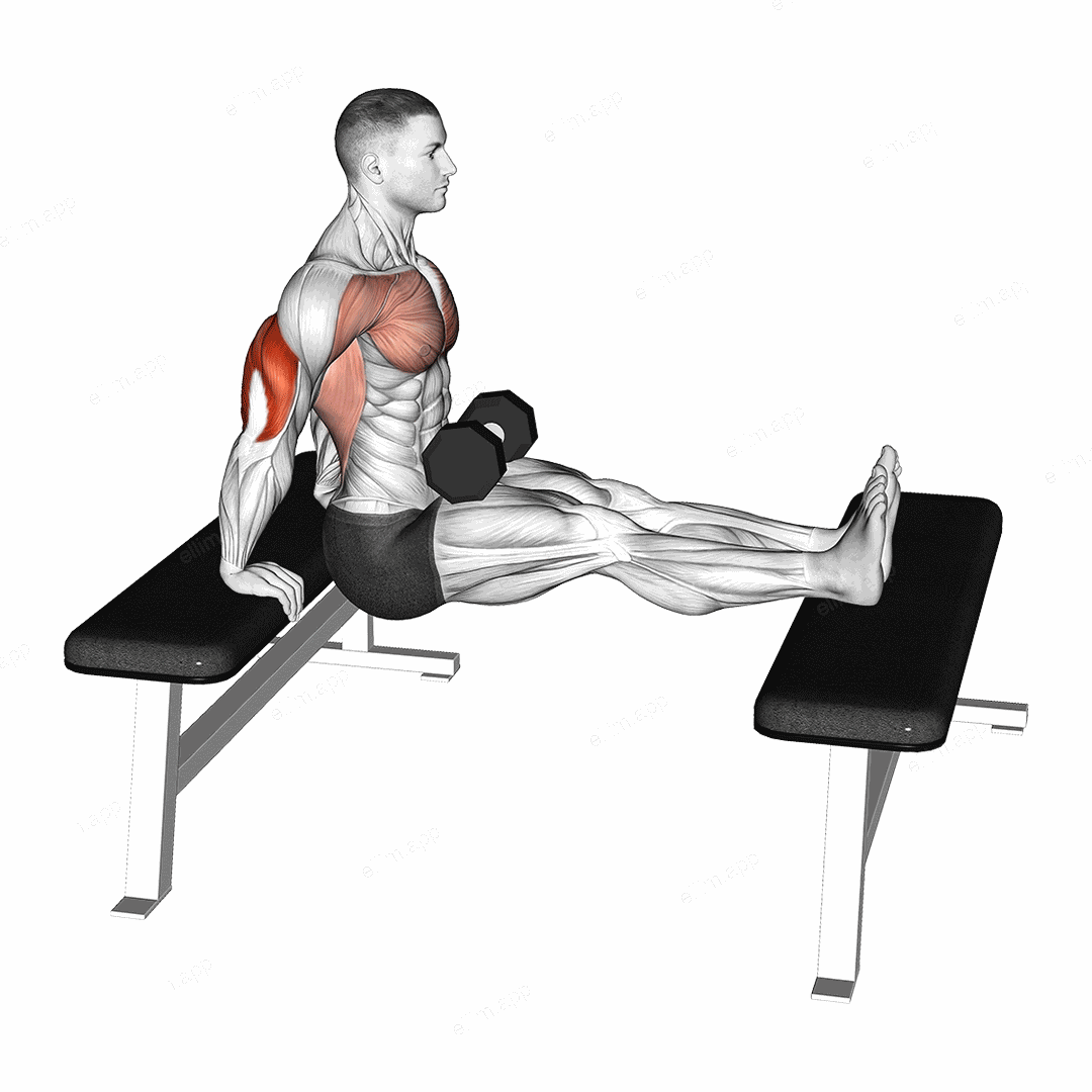 Dumbbell Bench Dip with Legs Elevated exercise targeting Upper Arms