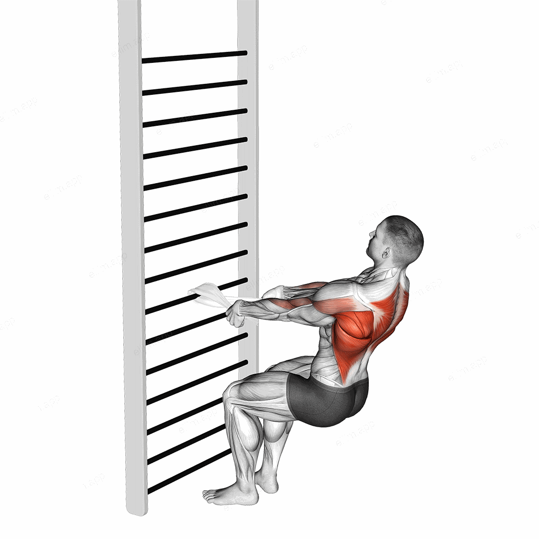Bodyweight Squatting Row (with towel) exercise targeting Back and Infraspinatus