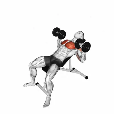 Dumbbell Incline Twist Press exercise targeting Chest