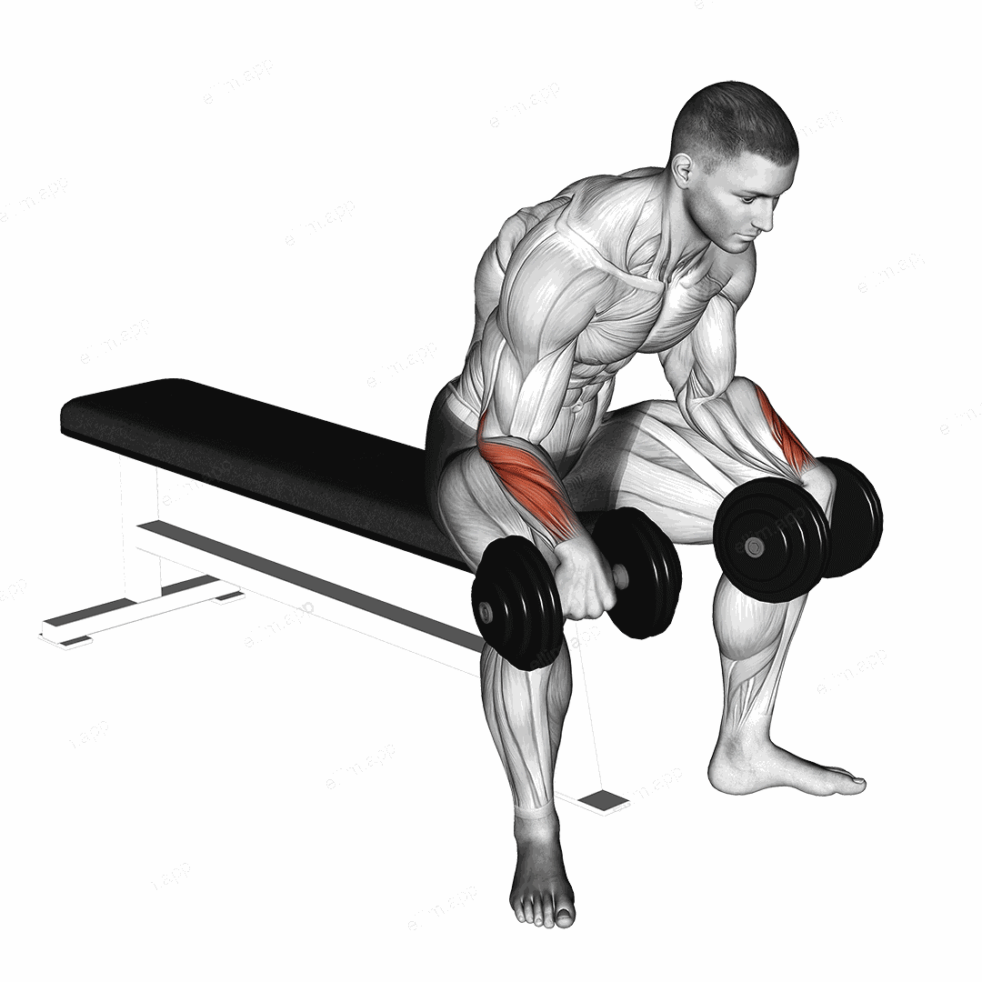 Dumbbell Reverse Wrist Curl exercise targeting Forearms and Wrist Extensors