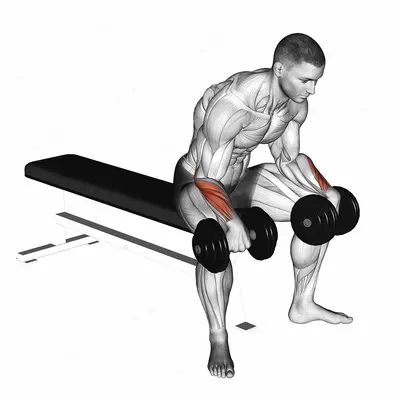Dumbbell Reverse Wrist Curl exercise targeting Forearms and Wrist Extensors