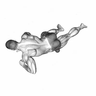Roll Ball Tensor Fasciae Latae exercise targeting Hips and Tensor Fasciae Latae