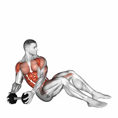 Dumbbell Military Press Russian Twist with Legs Floor Off exercise targeting Waist